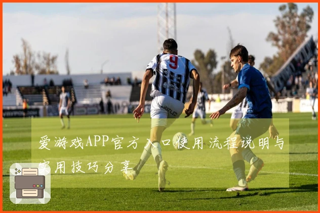 爱游戏APP官方入口使用流程说明与实用技巧分享